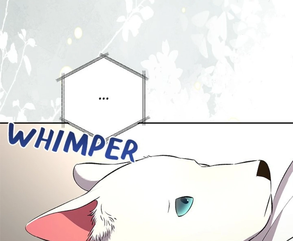 To Be His Wish Chapter 59 page 33 - 