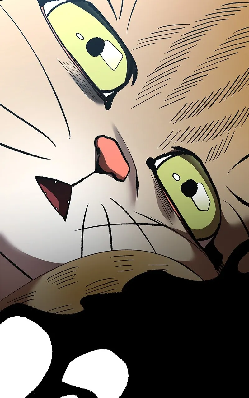 To Face the Tiger Chapter 30 page 122 - 
