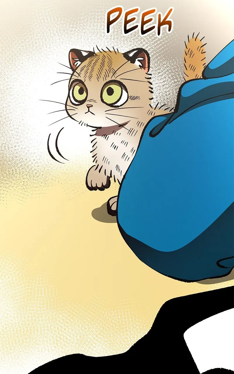 To Face the Tiger Chapter 30 page 84 - 