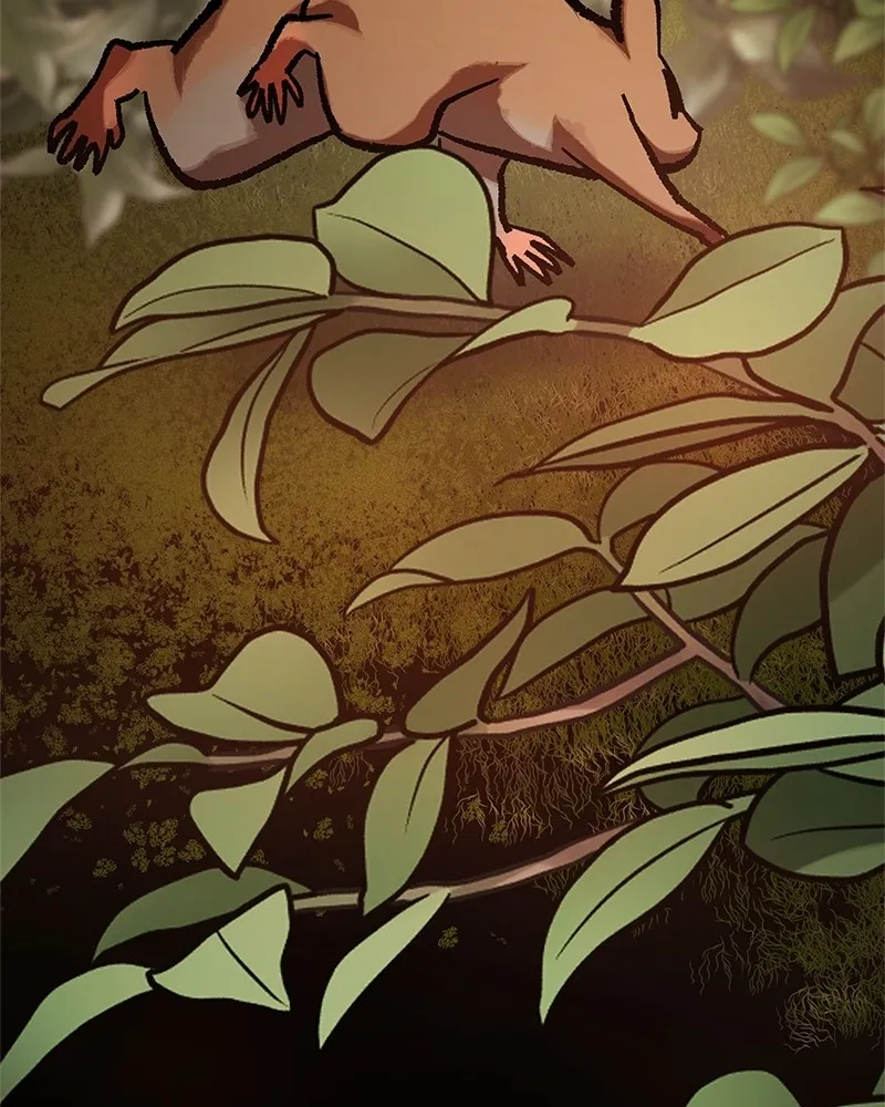 To Face the Tiger Chapter 36 page 188 - 