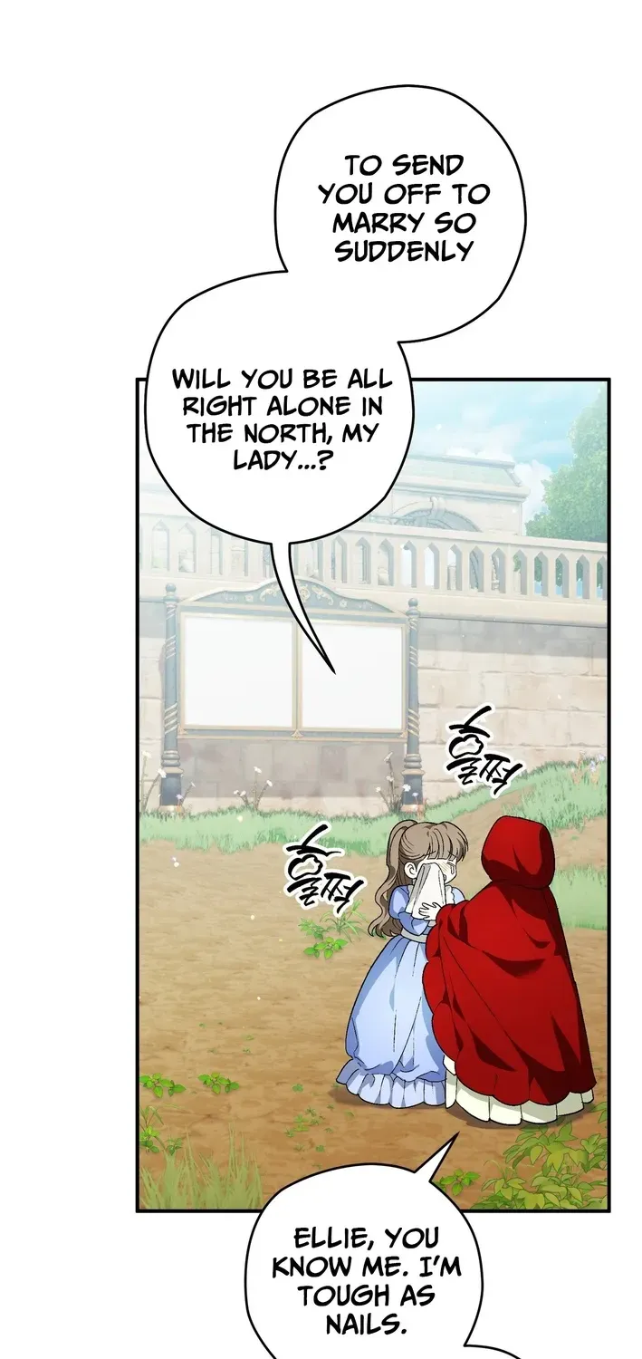 To My Beloved Wolf Chapter 1 page 13 - 