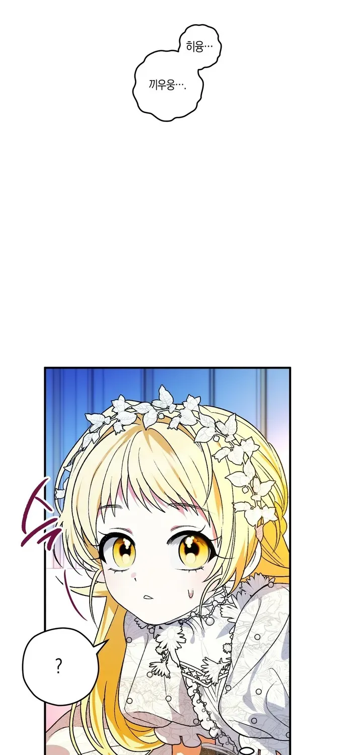 To My Beloved Wolf Chapter 1 page 73 - 