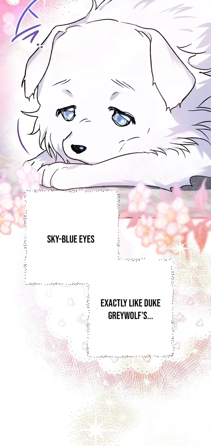 To My Beloved Wolf Chapter 1 page 81 - 