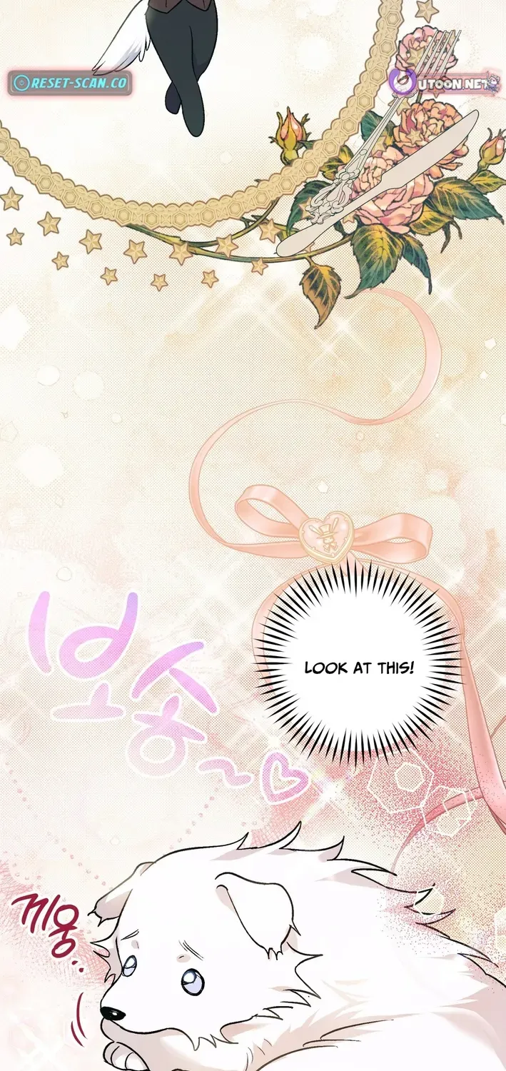 To My Beloved Wolf Chapter 1 page 92 - 