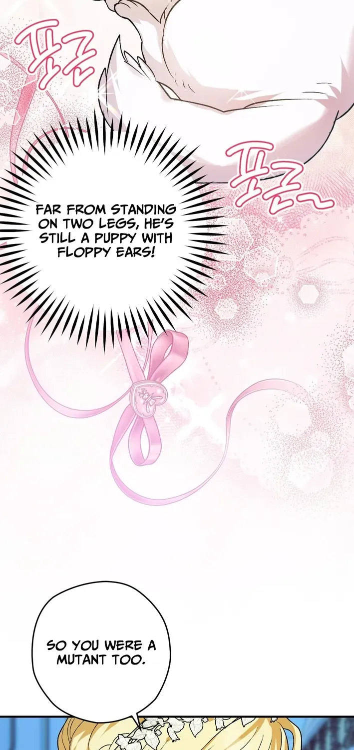 To My Beloved Wolf Chapter 1 page 93 - 