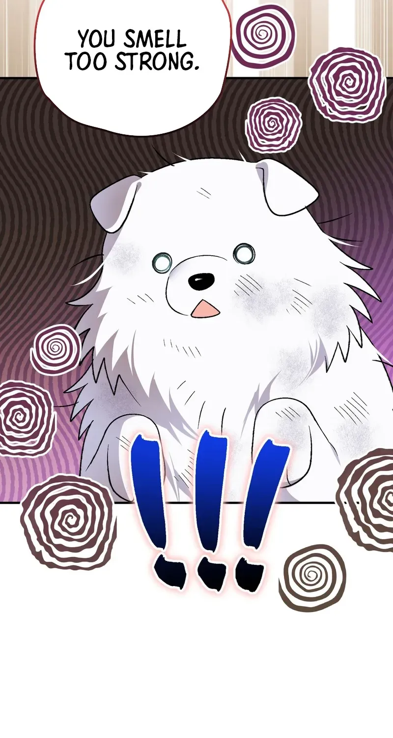 To My Beloved Wolf Chapter 10 page 45 - 