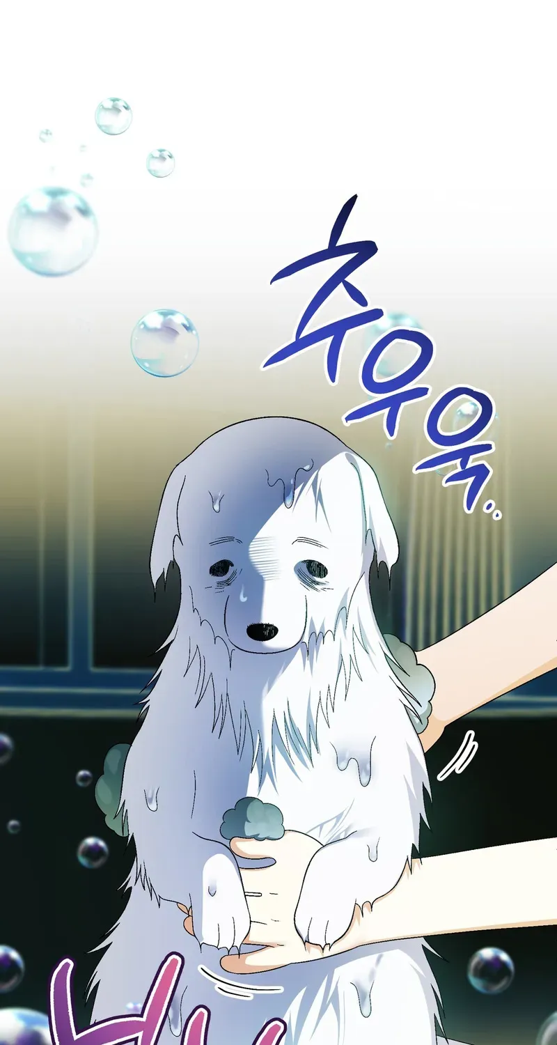 To My Beloved Wolf Chapter 10 page 62 - 