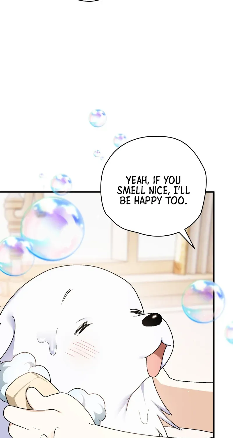 To My Beloved Wolf Chapter 10 page 66 - 