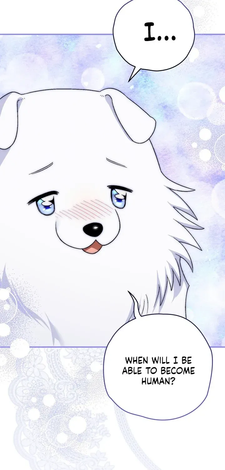 To My Beloved Wolf Chapter 11 page 31 - 