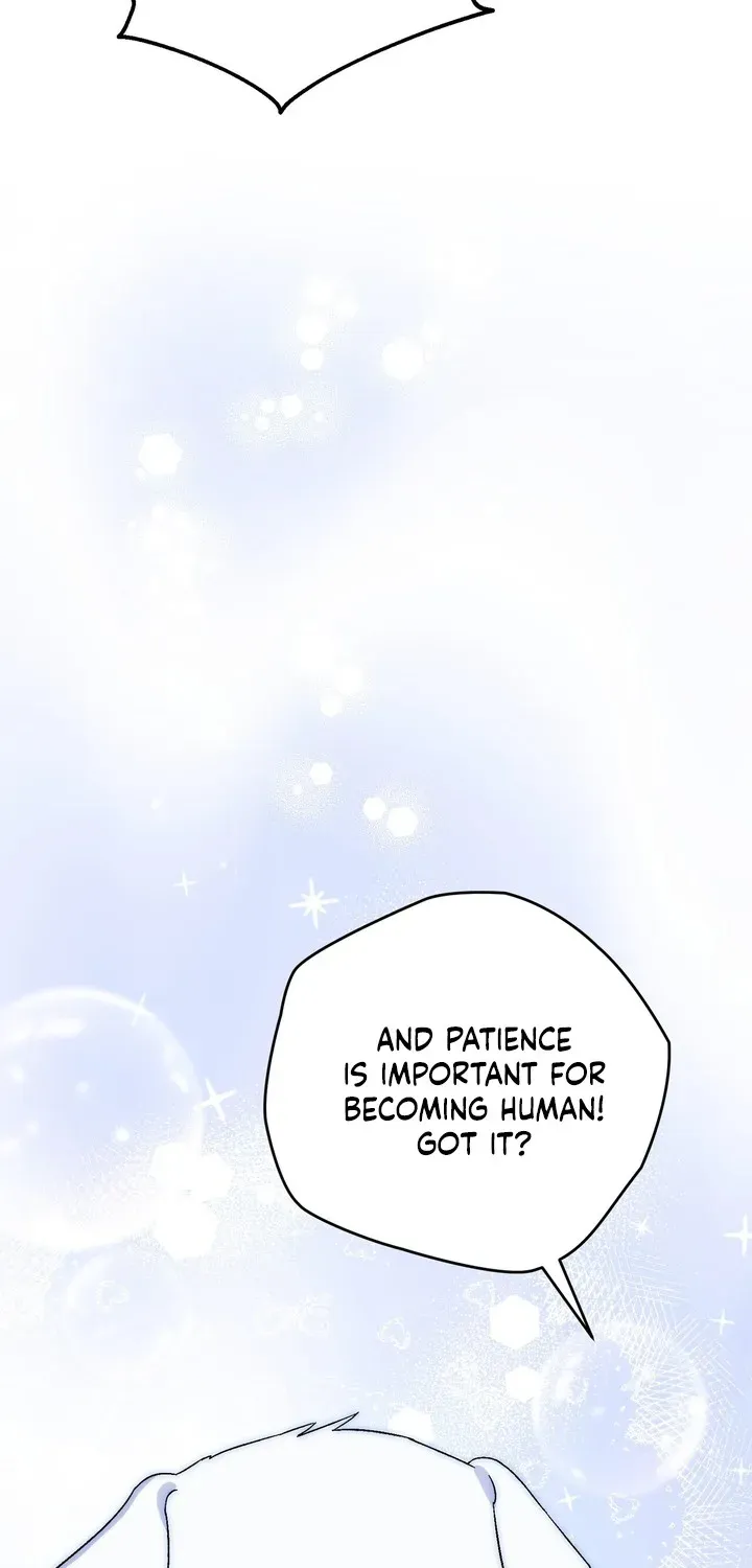 To My Beloved Wolf Chapter 11 page 36 - 