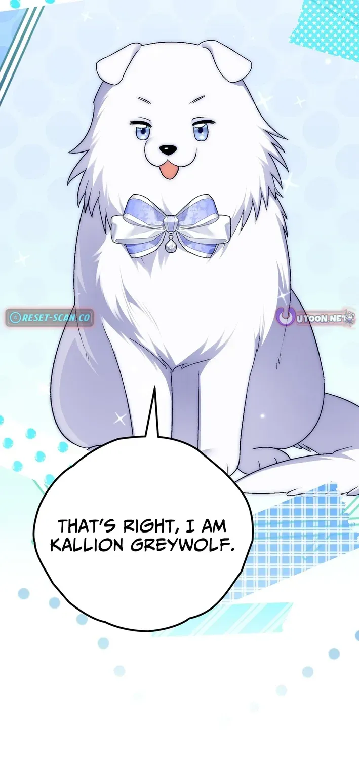 To My Beloved Wolf Chapter 12 page 8 - 