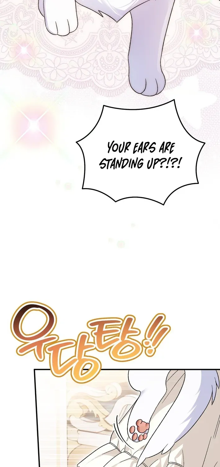 To My Beloved Wolf Chapter 13 page 36 - 