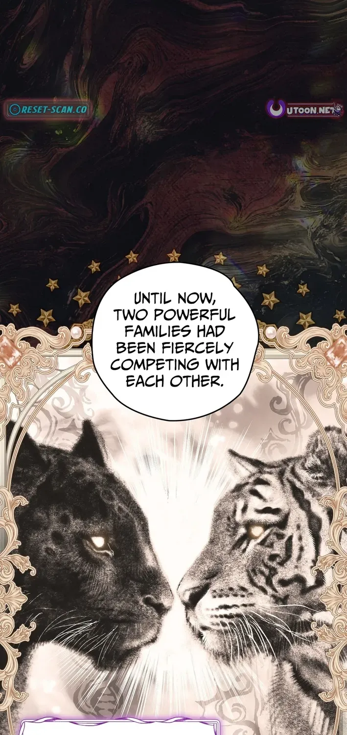 To My Beloved Wolf Chapter 14 page 3 - 