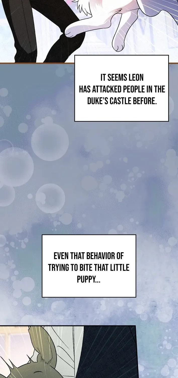 To My Beloved Wolf Chapter 15 page 20 - 