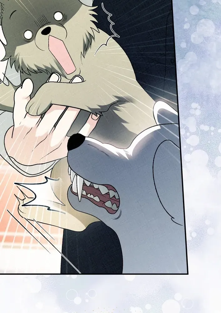To My Beloved Wolf Chapter 15 page 21 - 