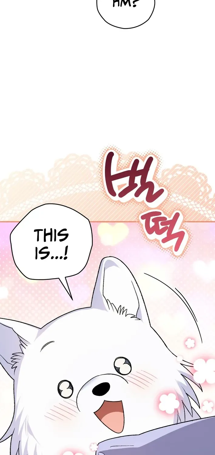 To My Beloved Wolf Chapter 17 page 11 - 