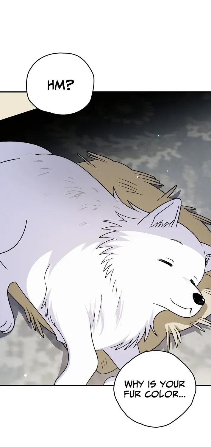 To My Beloved Wolf Chapter 17 page 3 - 