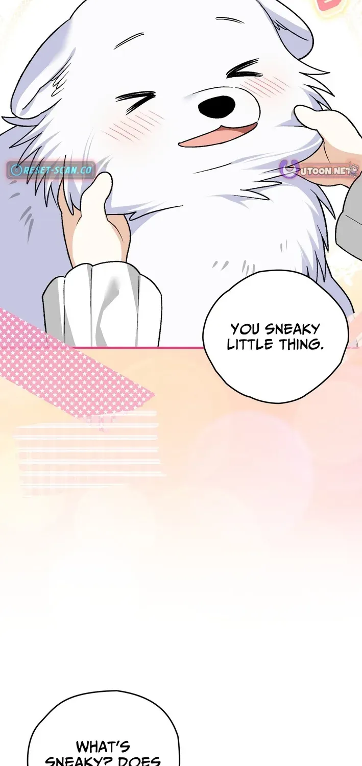 To My Beloved Wolf Chapter 17 page 8 - 