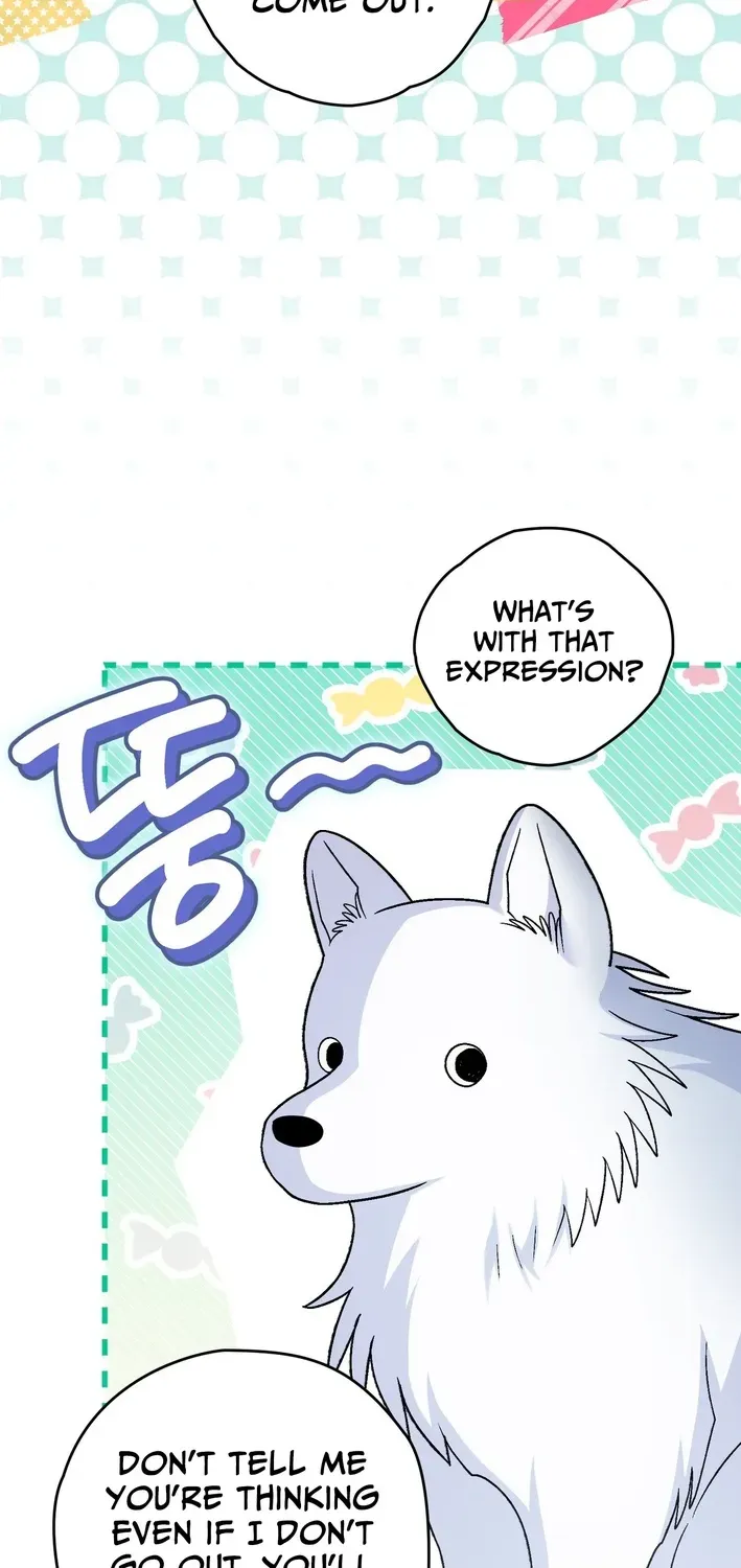 To My Beloved Wolf Chapter 18 page 27 - 
