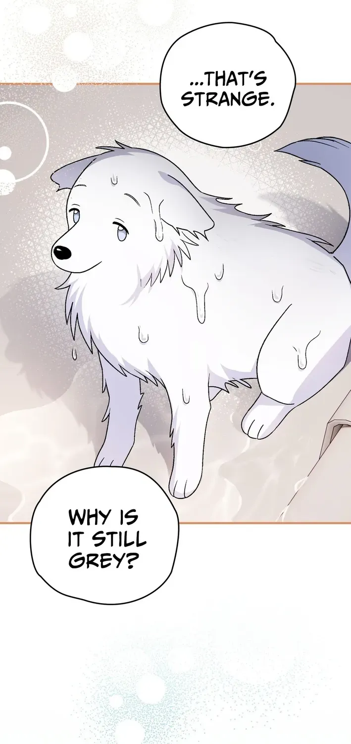 To My Beloved Wolf Chapter 18 page 59 - 