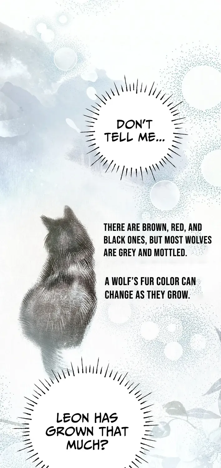 To My Beloved Wolf Chapter 18 page 60 - 