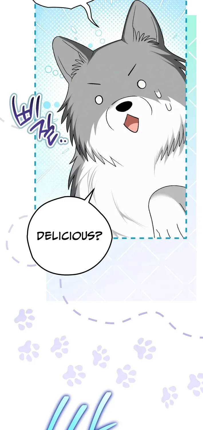 To My Beloved Wolf Chapter 19 page 11 - 