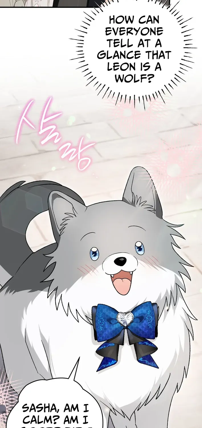 To My Beloved Wolf Chapter 19 page 29 - 