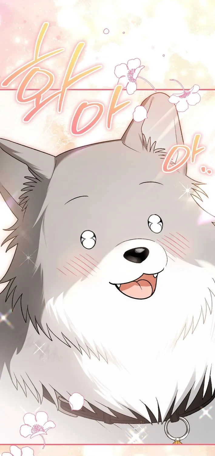 To My Beloved Wolf Chapter 19 page 64 - 