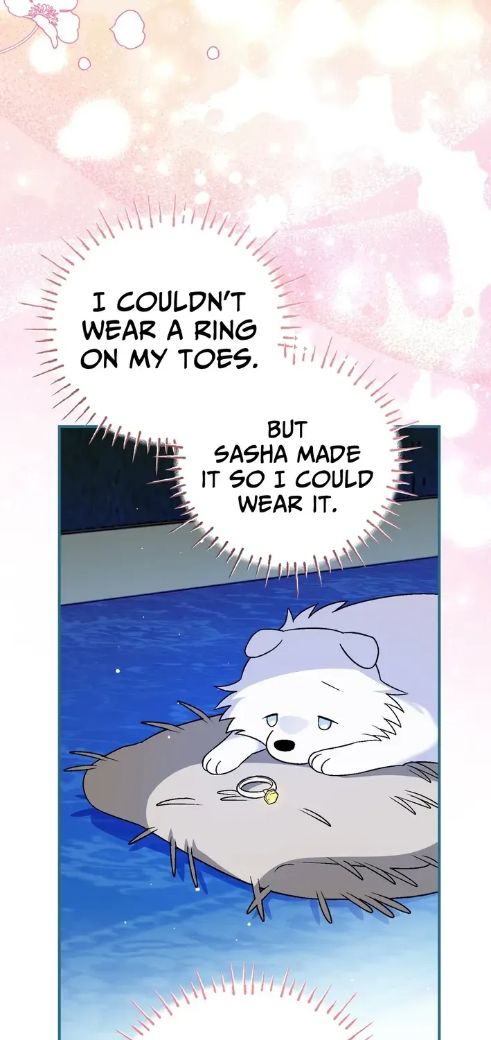 To My Beloved Wolf Chapter 19 page 65 - 