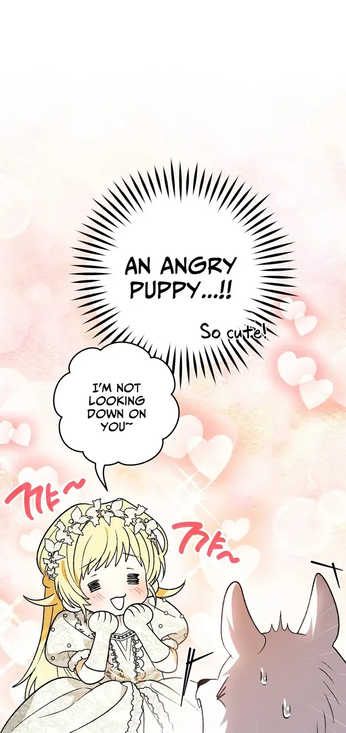 To My Beloved Wolf Chapter 2 page 12 - 