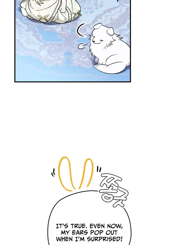To My Beloved Wolf Chapter 2 page 14 - 