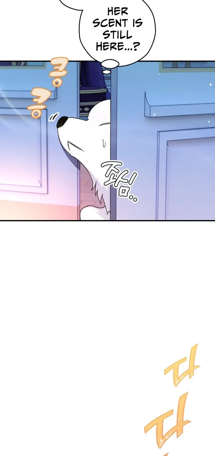 To My Beloved Wolf Chapter 2 page 41 - 