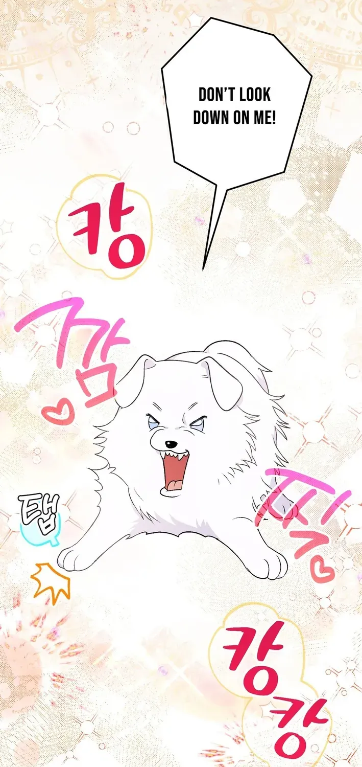 To My Beloved Wolf Chapter 2 page 10 - 