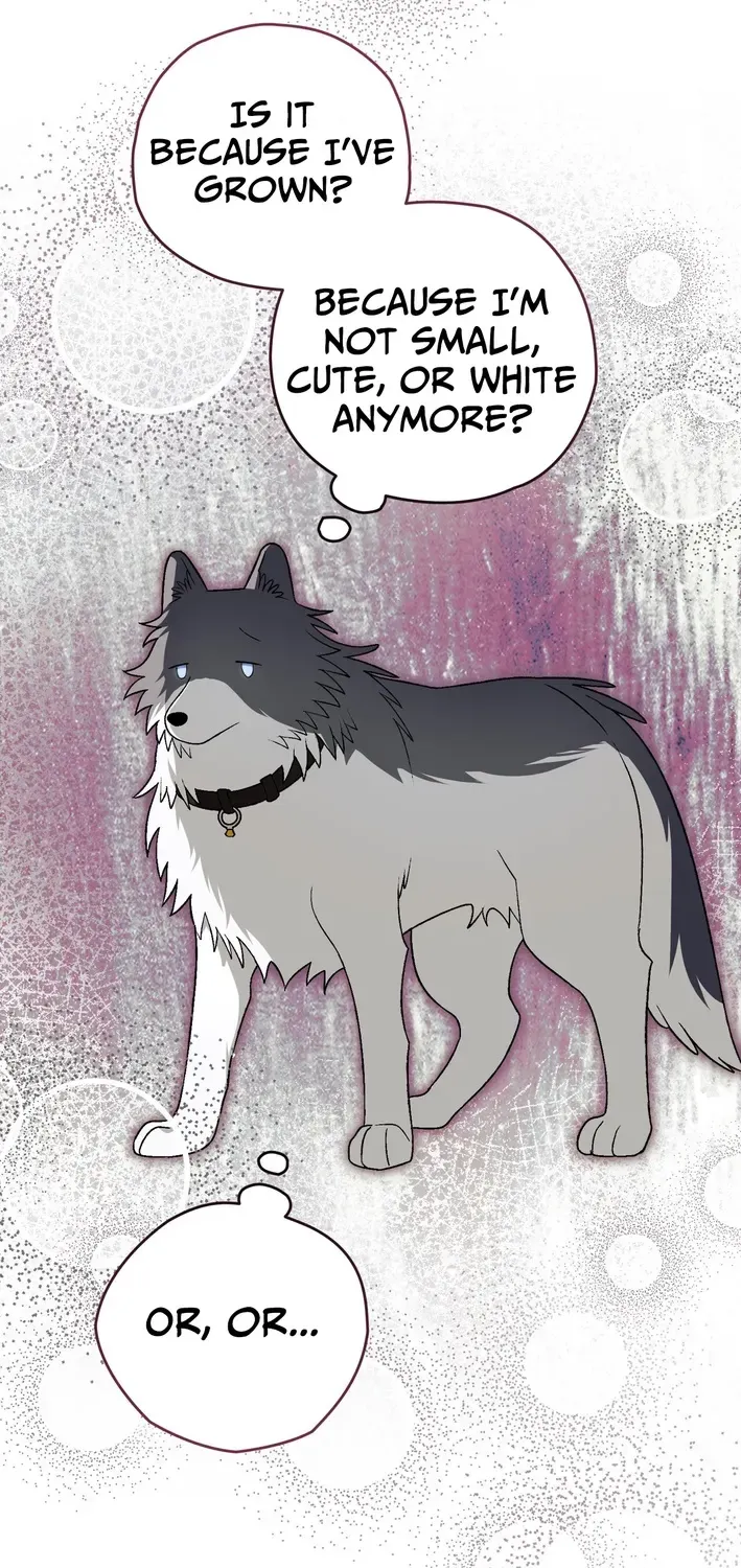 To My Beloved Wolf Chapter 20 page 31 - 