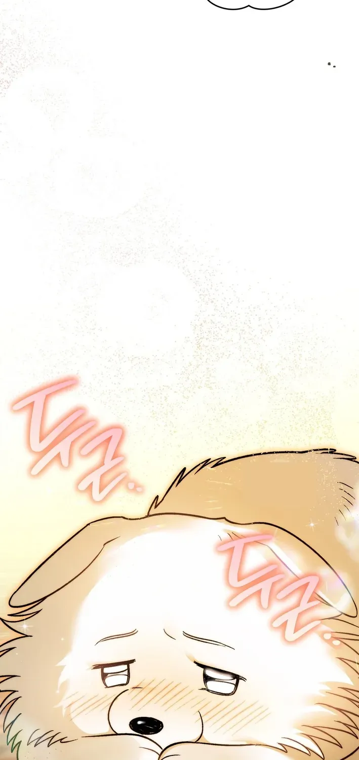 To My Beloved Wolf Chapter 4 page 68 - 