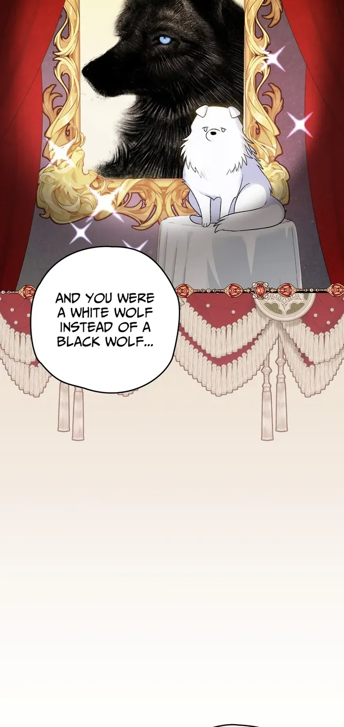 To My Beloved Wolf Chapter 5 page 11 - 
