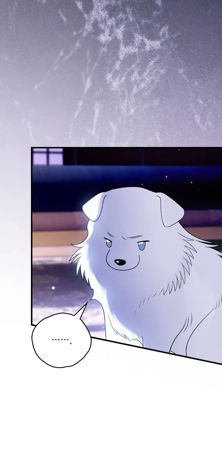 To My Beloved Wolf Chapter 5 page 27 - 