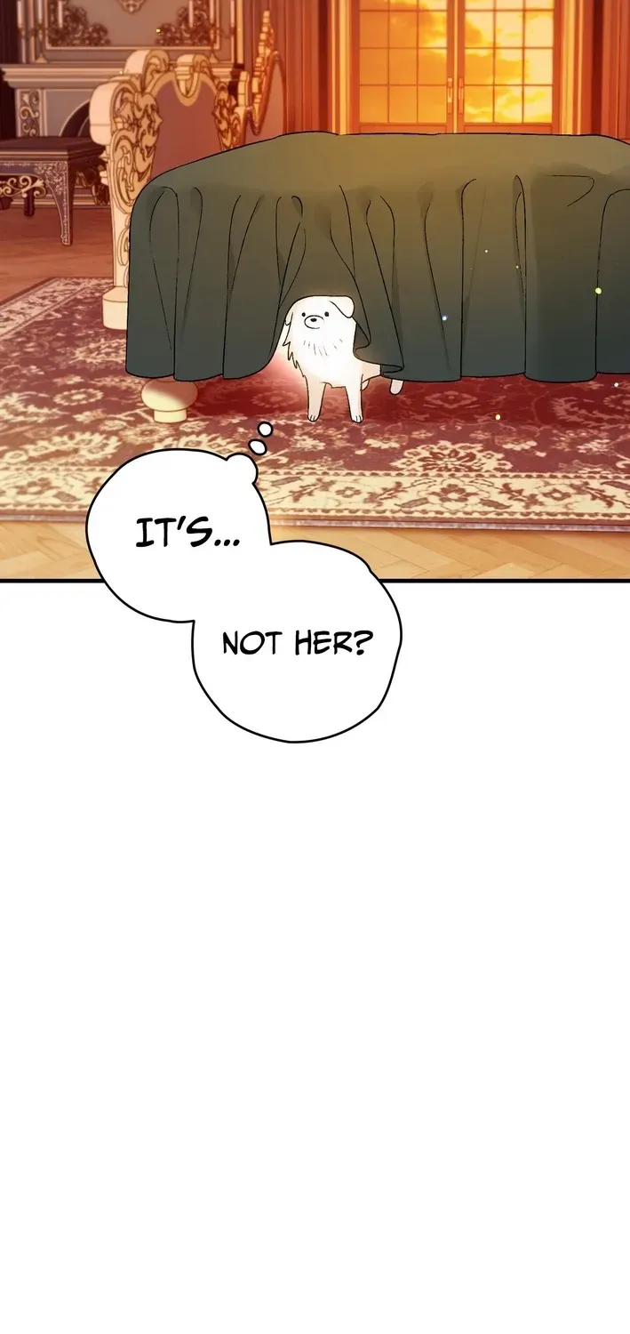 To My Beloved Wolf Chapter 5 page 39 - 