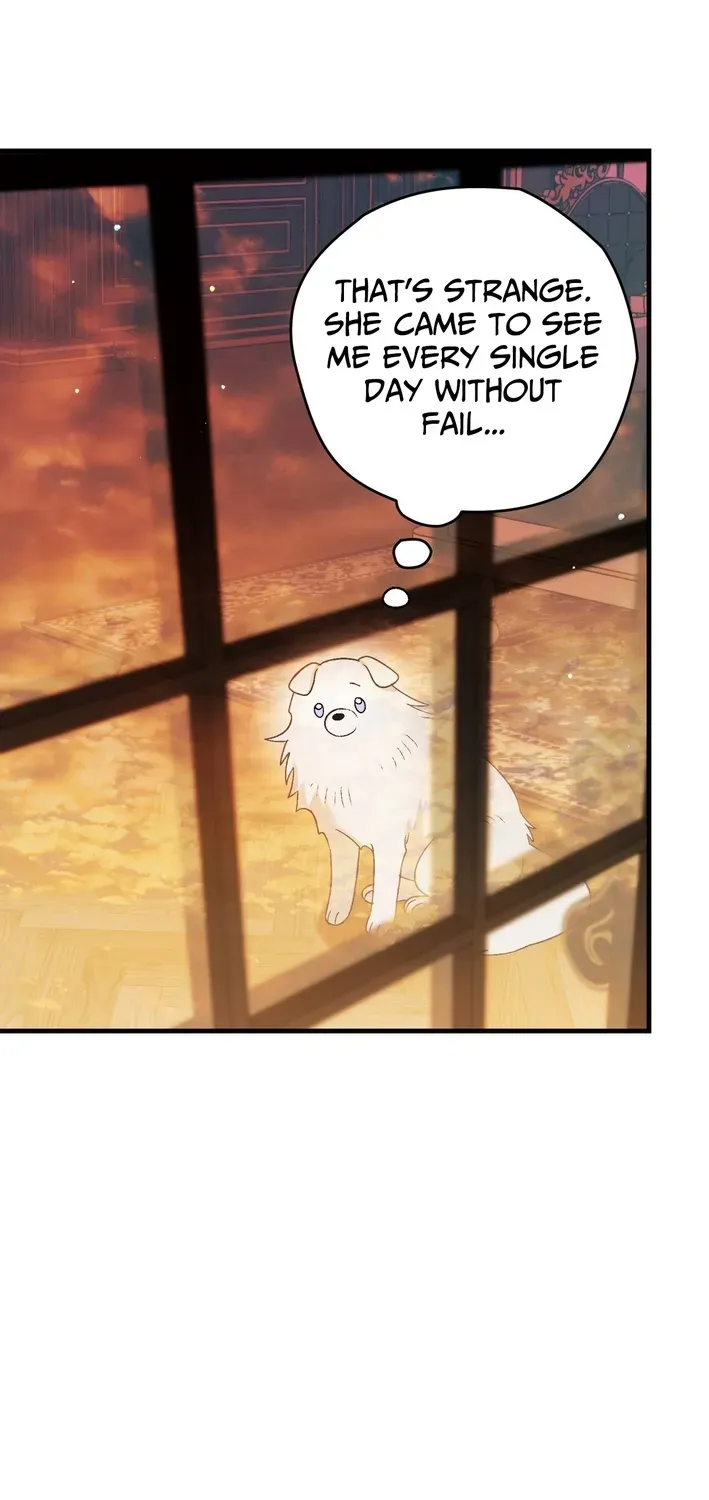 To My Beloved Wolf Chapter 5 page 40 - 