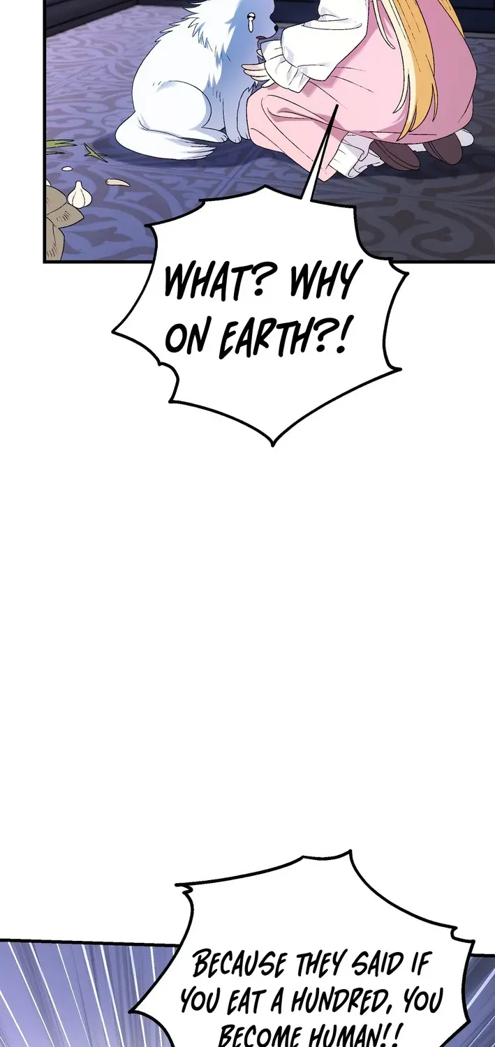 To My Beloved Wolf Chapter 6 page 17 - 