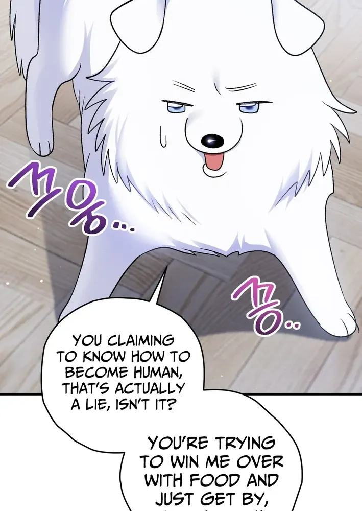 To My Beloved Wolf Chapter 6 page 63 - 