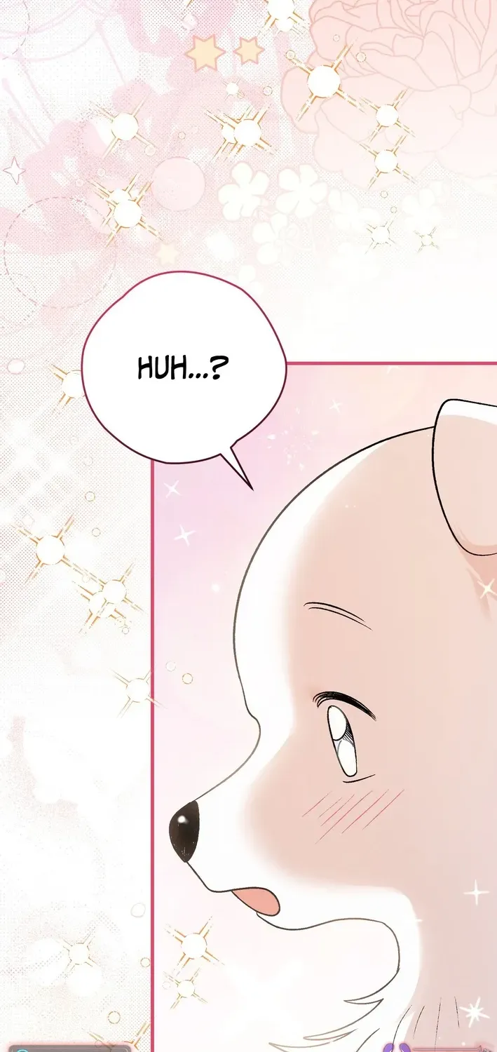 To My Beloved Wolf Chapter 6 page 90 - 