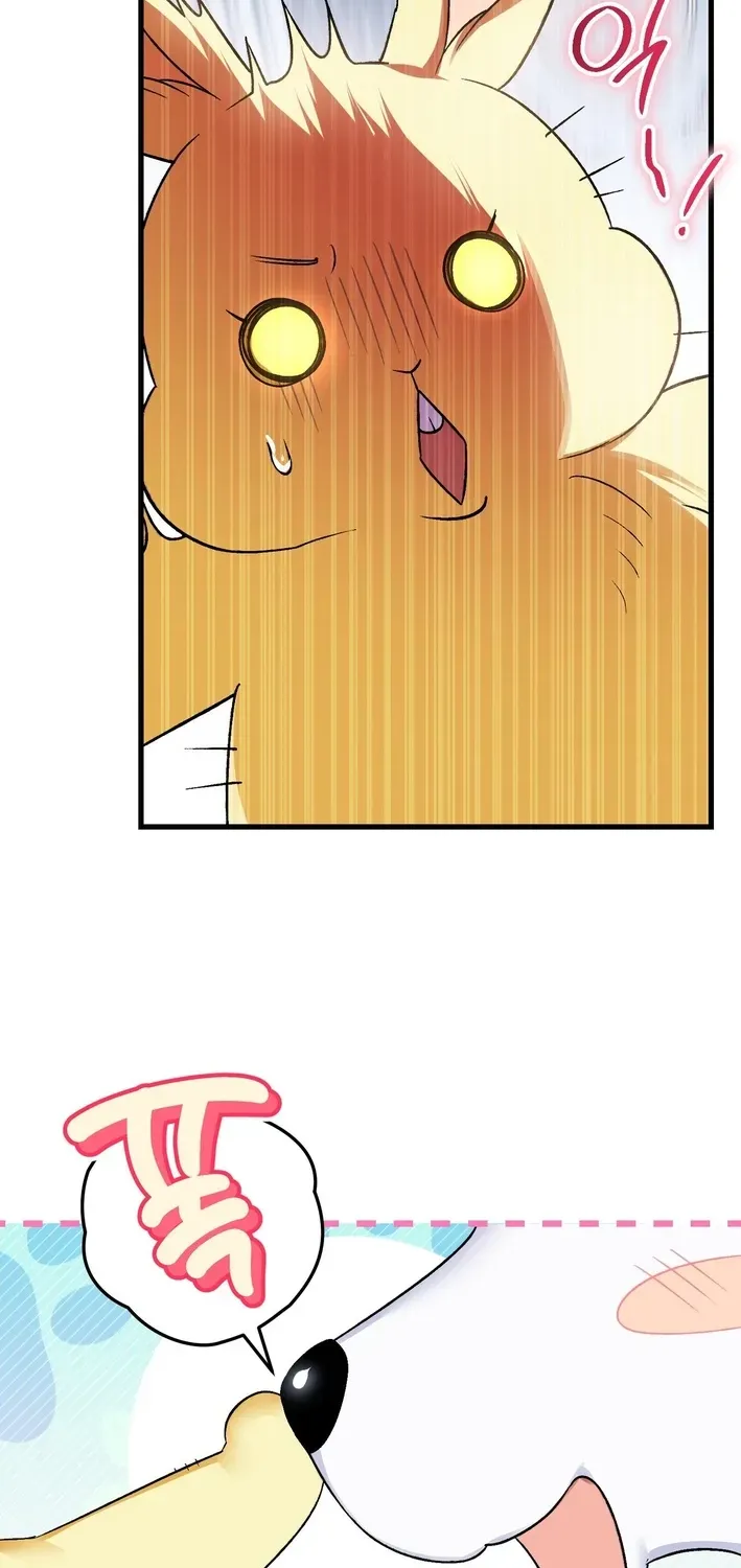 To My Beloved Wolf Chapter 7 page 11 - 