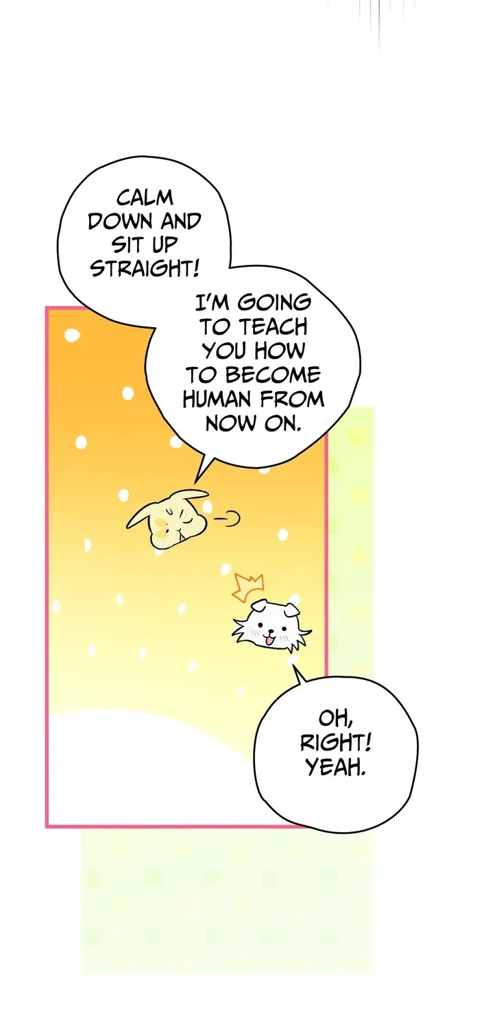 To My Beloved Wolf Chapter 7 page 29 - 