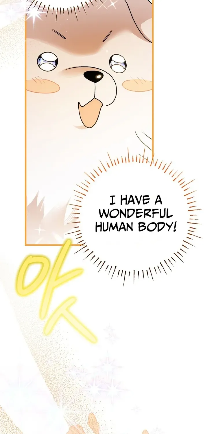 To My Beloved Wolf Chapter 7 page 32 - 