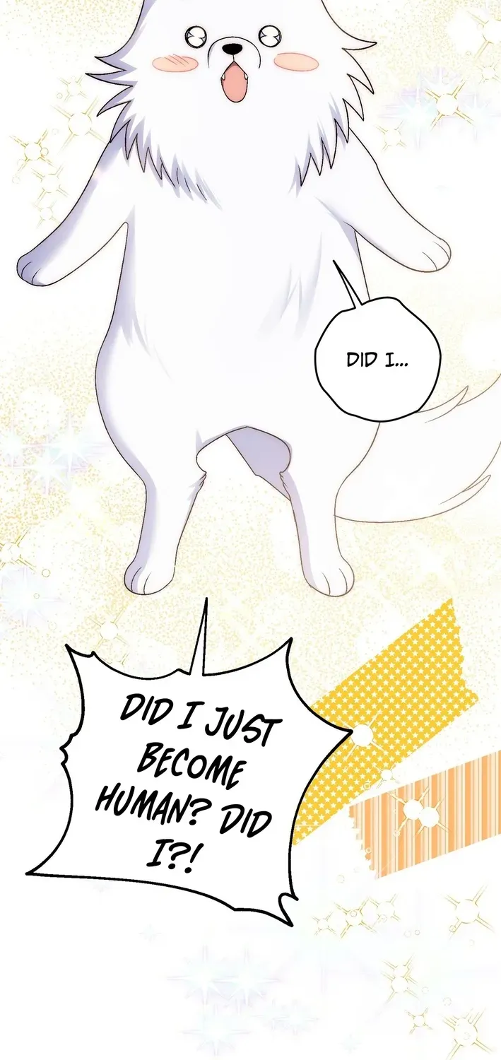 To My Beloved Wolf Chapter 7 page 48 - 