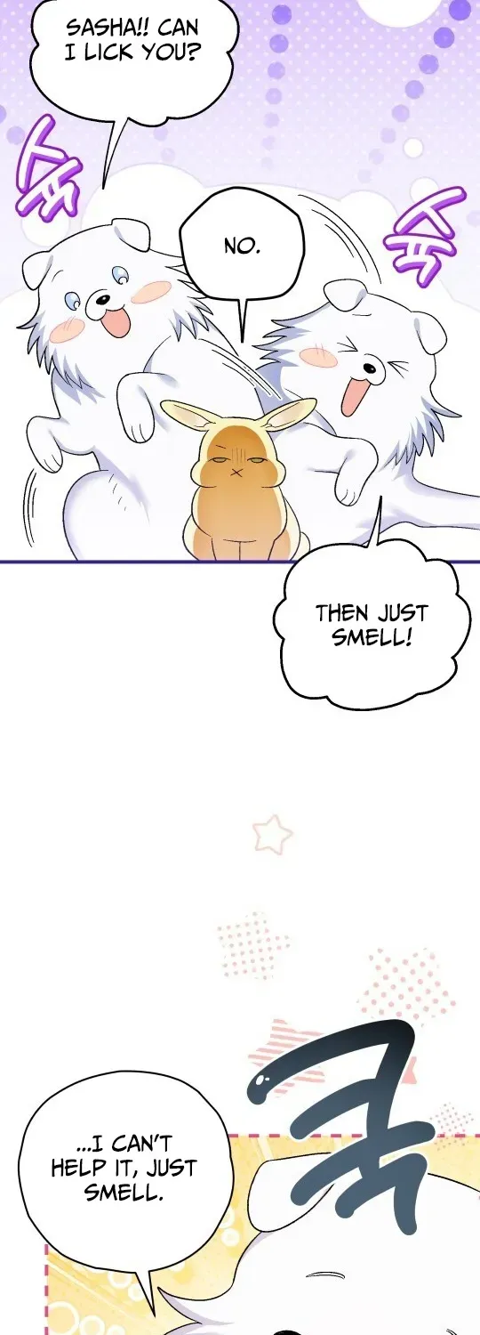 To My Beloved Wolf Chapter 8 page 33 - 