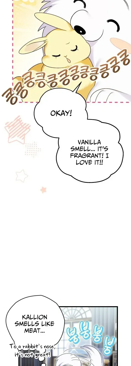 To My Beloved Wolf Chapter 8 page 34 - 