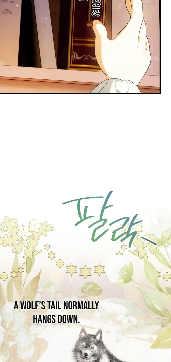 To My Beloved Wolf Chapter 9 page 76 - 