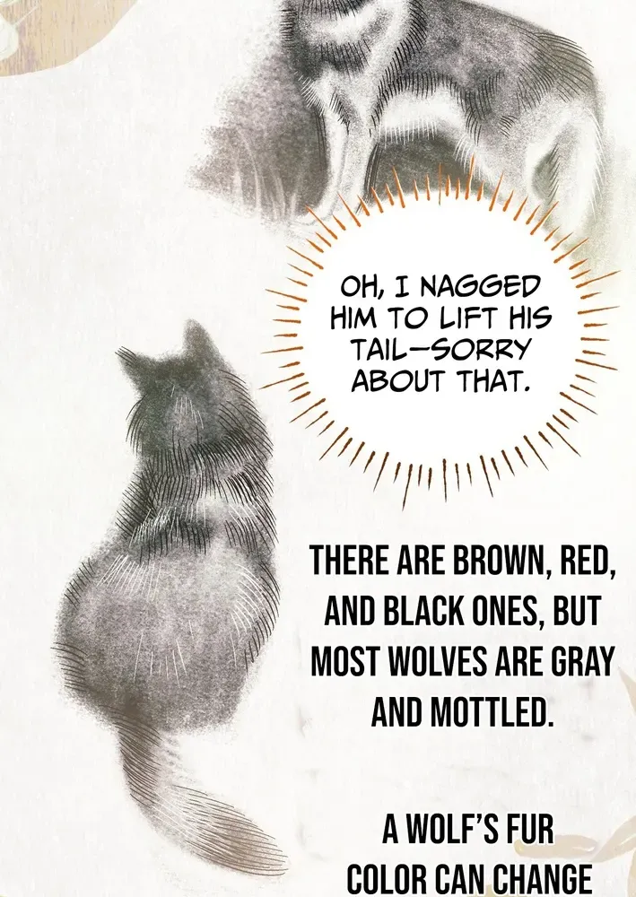 To My Beloved Wolf Chapter 9 page 77 - 